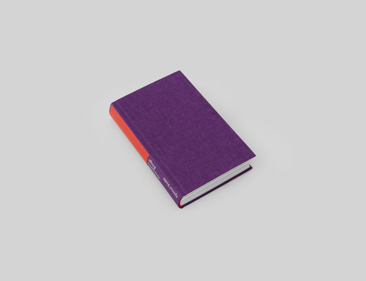 Katharina Grosse, Alexander Kluge. Das SEPARATRIX Projekt