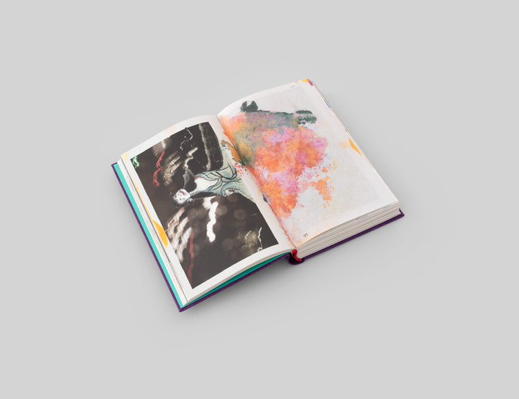 Katharina Grosse, Alexander Kluge. Das SEPARATRIX Projekt