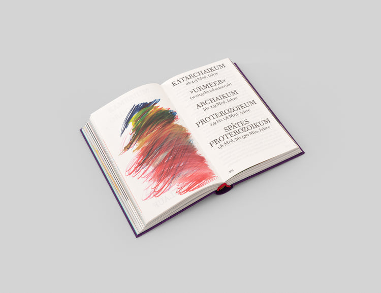 Katharina Grosse, Alexander Kluge. Das SEPARATRIX Projekt