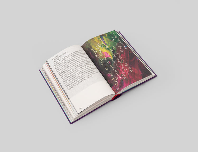 Katharina Grosse, Alexander Kluge. Das SEPARATRIX Projekt
