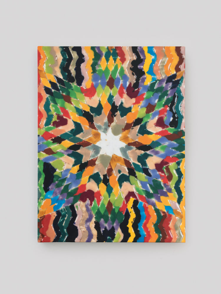 Polly Apfelbaum. For the Love of Una Hale