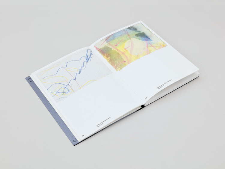 Adrian Schiess. Aucune Idée