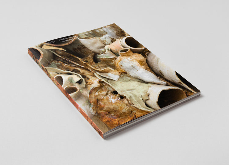 Isa Melsheimer. Psychotropische Landschaften