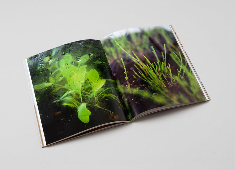 Isa Melsheimer. Psychotropische Landschaften