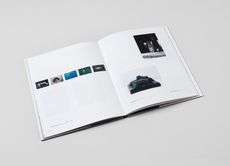 Helmut Federle. A Nordic View. Special edition with linocut, signed and numbered by Helmut Federle. Edition of 50