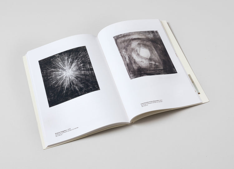 Helmut Federle. Curated by Roman Kurzmeyer