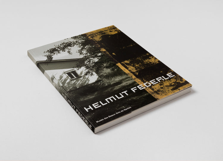 Helmut Federle. Musée des Beaux-Arts de Nantes