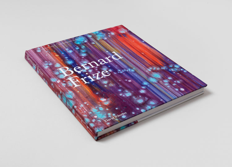 Bernard Frize. David Rhodes. Contemporary Painters Series