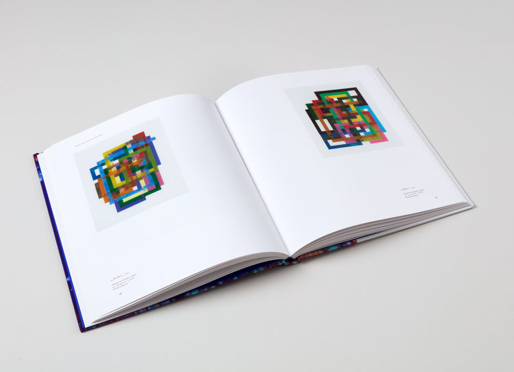 Bernard Frize. David Rhodes. Contemporary Painters Series