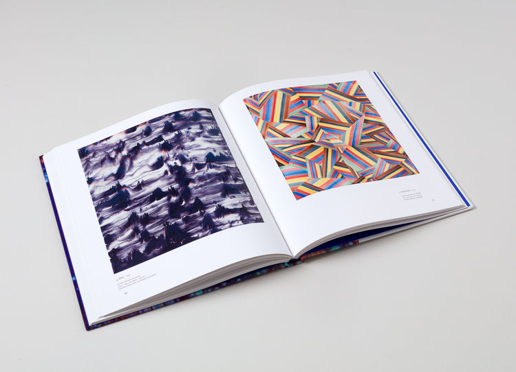 Bernard Frize. David Rhodes. Contemporary Painters Series