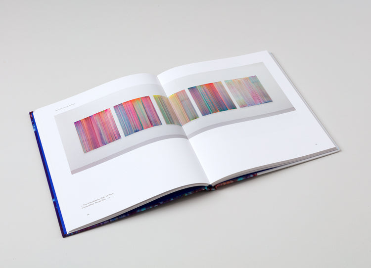 Bernard Frize. David Rhodes. Contemporary Painters Series