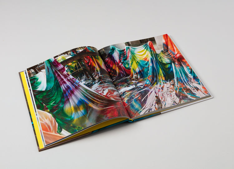 Katharina Grosse.
Contemporary Painters Series. Gregory Volk.