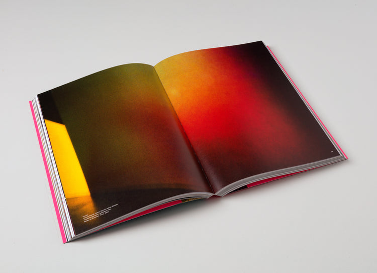 Adrian Schiess. The Song Element. Painting 1980-2020