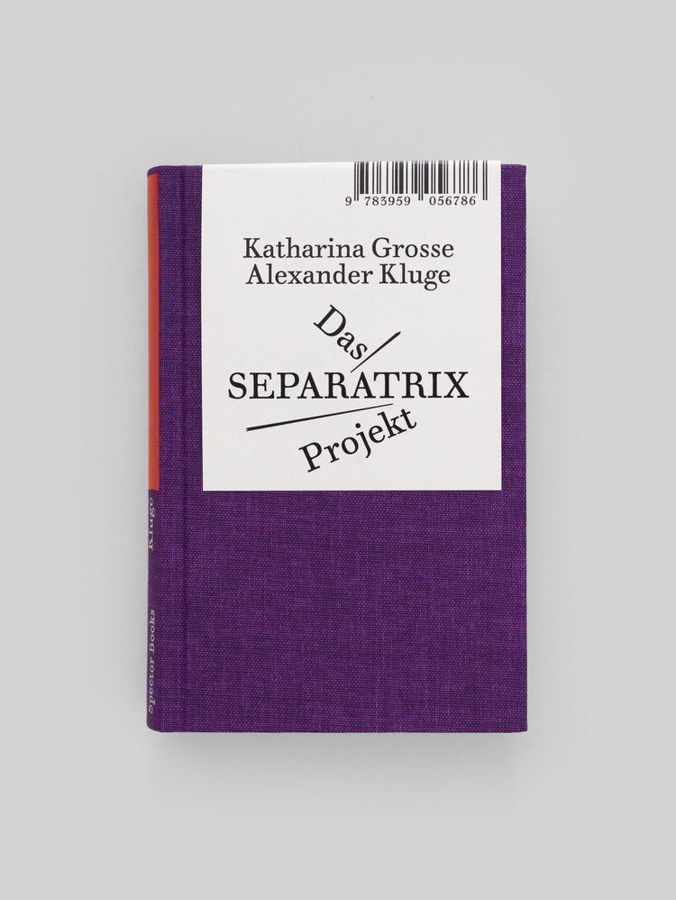 Katharina Grosse, Alexander Kluge. Das SEPARATRIX Projekt