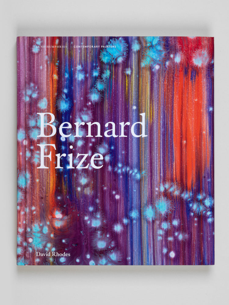 Bernard Frize. David Rhodes. Contemporary Painters Series